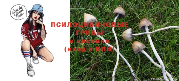 ГАЛЛЮЦИНОГЕННЫЕ ГРИБЫ Белокуриха
