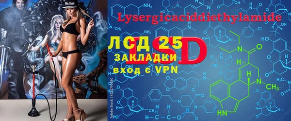 ГАЛЛЮЦИНОГЕННЫЕ ГРИБЫ Белокуриха