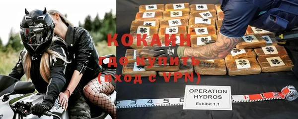 ГАЛЛЮЦИНОГЕННЫЕ ГРИБЫ Белокуриха
