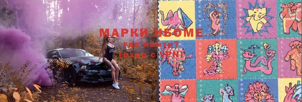 ГАЛЛЮЦИНОГЕННЫЕ ГРИБЫ Белокуриха