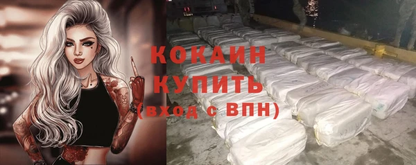ГАЛЛЮЦИНОГЕННЫЕ ГРИБЫ Белокуриха