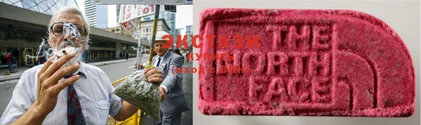 ГАЛЛЮЦИНОГЕННЫЕ ГРИБЫ Белокуриха